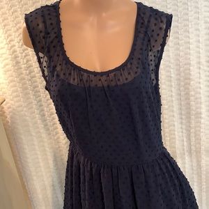 J.Crew Size 4 Navy Blue Polka Dot Lace Dress